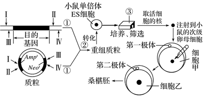 德优题库