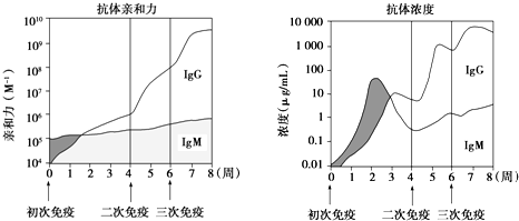 德优题库