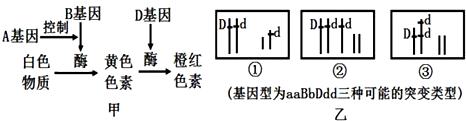 德优题库