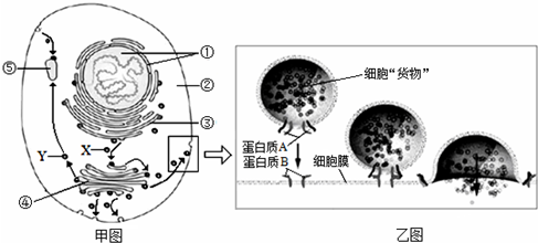 德优题库