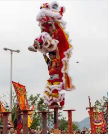 德优题库