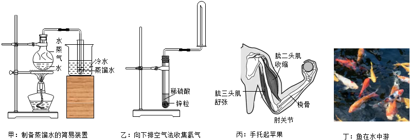 德优题库