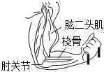 德优题库