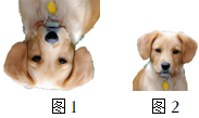德优题库