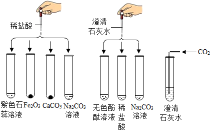 德优题库