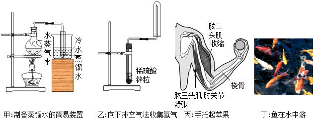 德优题库