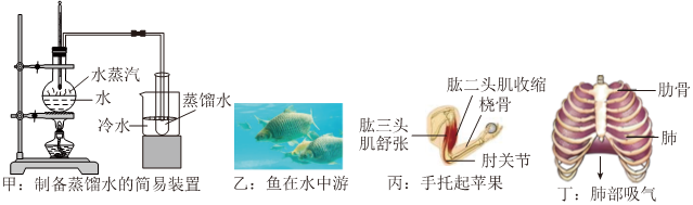 德优题库