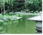 德优题库
