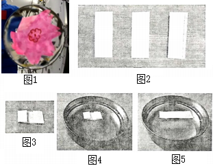 德优题库