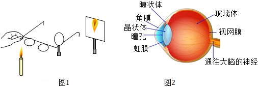 德优题库