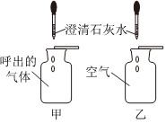 德优题库
