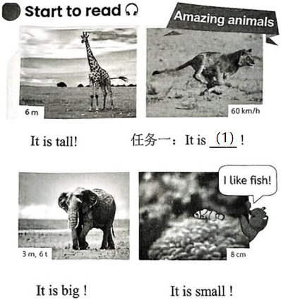 德优题库