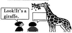 德优题库