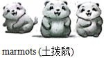 德优题库